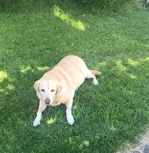 Meet your Posher, Erin campos